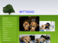 wittsendnigerians.com