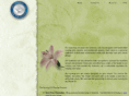 nursingpinpeople.com