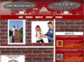 ontimechimney.com