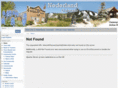 townofnederland.org