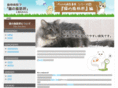 cat-fatty-livers.com