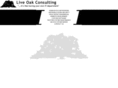 liveoakconsulting.com