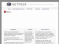 netpeer.com