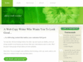 shirewebwriter.com.au