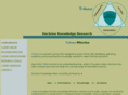 triintel.com
