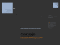 benaja-websolutions.com