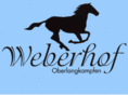 weberhof-langkampfen.net