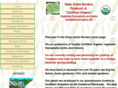deepgrassnursery.com