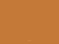 designsinpaint.com