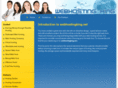 webhostingking.net