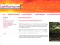 welloflighthealing.com
