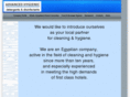 advancedhygienic.com