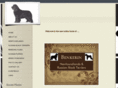 benkerin.com