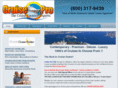 cruise-pro-usa.com