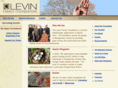 levinfamilyfoundation.org