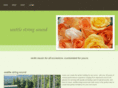 seattlestringsound.com