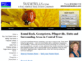 suziesells.com