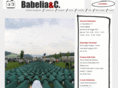 babelia.org