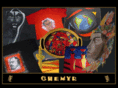 chemyr.com