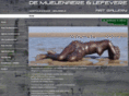 dmlgallery.be