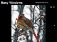 manywindows.com