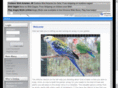 aviaryworld.co.uk