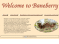 baneberry.org