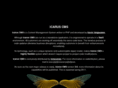 icarus-cms.com