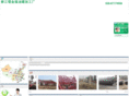 jfygc.com