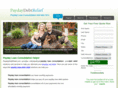 paydaydebtrelief.com