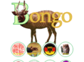 bongo.net