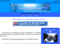 copsys-conseil.com