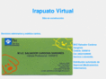 irapuatovirtual.com