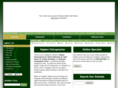 riebesellchiropractic.com