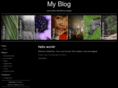 bellas-blog.com