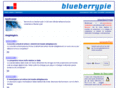 blueberrypie.it