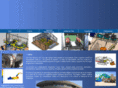 cad-cae.com