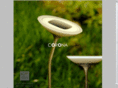 coronasolarlight.com
