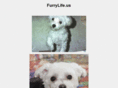furrylife.net