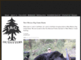 nmbiggamehunts.com