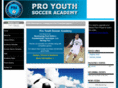 proyouthsocceracademy.com