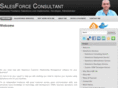salesforceconsultant.us