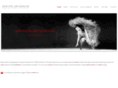 lynzo.com