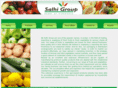 salhigroup.com