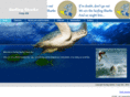 surfingsharks454.com