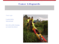 canoelifeguards.com