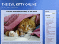 evilkittyonline.com