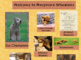 marymorewheatens.com