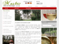 mastric.com