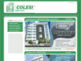 colesiinmobiliaria.com